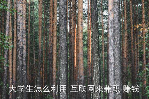 互聯網經濟怎么賺錢,第一章:互聯網時代如何賺錢?