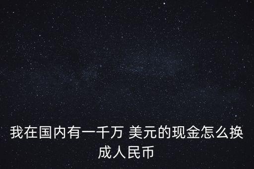 我在國內有一千萬 美元的現金怎么換成人民幣