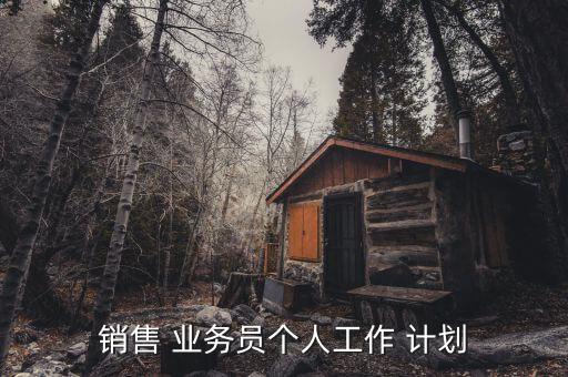 銷售 業務員個人工作 計劃