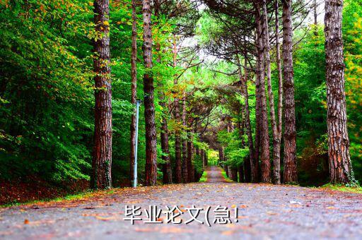 股票行業分析報告怎么寫,房地產行業十強之一的綠地控股