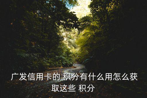  廣發信用卡的 積分有什么用怎么獲取這些 積分