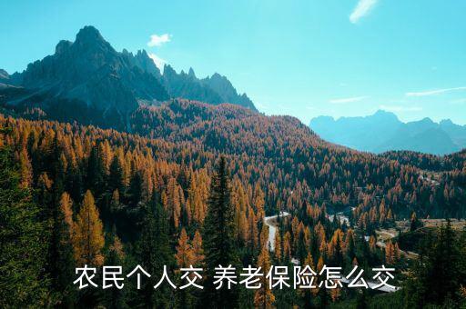  農民個人交 養老保險怎么交