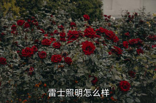 雷士怎么了,雷士照明是照明行業的知名品牌