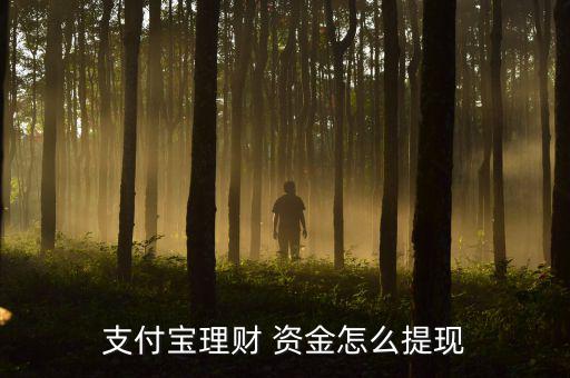 支付寶理財 資金怎么提現