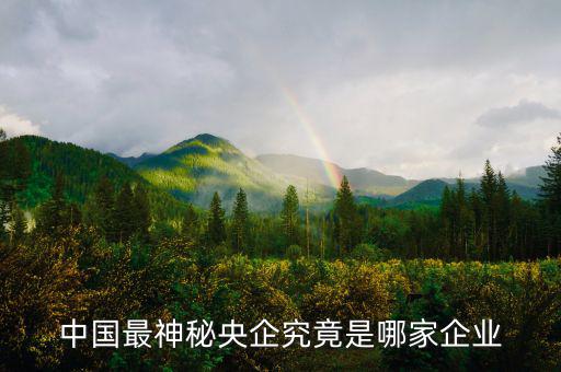 中國最神秘央企究竟是哪家企業