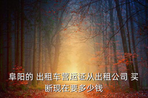 阜陽的 出租車營運證從出租公司 買斷現在要多少錢
