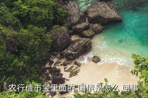 國債是怎么回事,美國國債是美國代表聯邦政府發行的國債