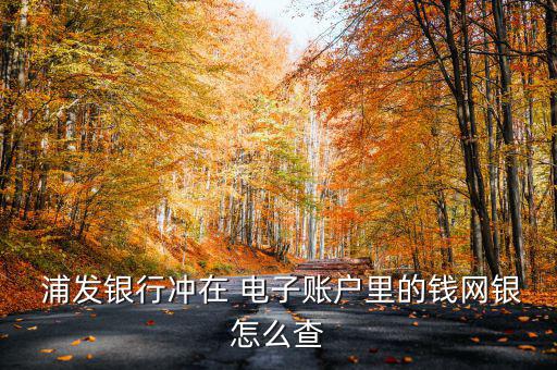浦發電子現金怎么消費,浦發bank網銀服務如何進行?