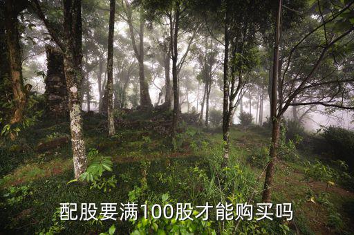 100股怎么買,中國股市規定大部分股票可以買100股以上