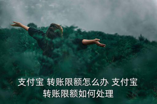 支付寶轉賬超額怎么辦,支付寶賬戶余額寶支付暫無支付限額