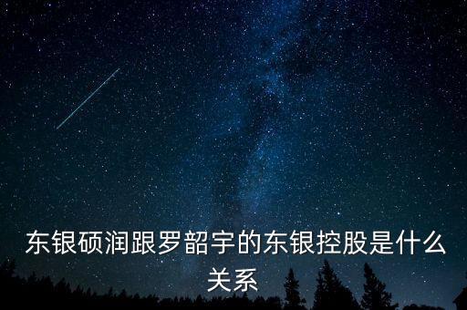 東銀碩潤怎么樣,重慶東銀碩潤石化集團有限公司企業法人袁俊