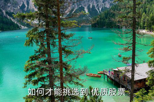 怎么選擇優質股,選擇成長股把握價值投資核心成長性