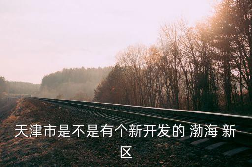 渤海新區發展怎么樣,濱海新區新增三個新地點