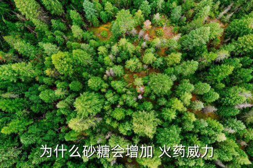 白糖怎么做火藥,中國火藥學家成功研發為人類文明重要發明之一