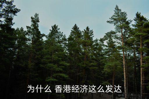 為什么 香港經濟這么發達