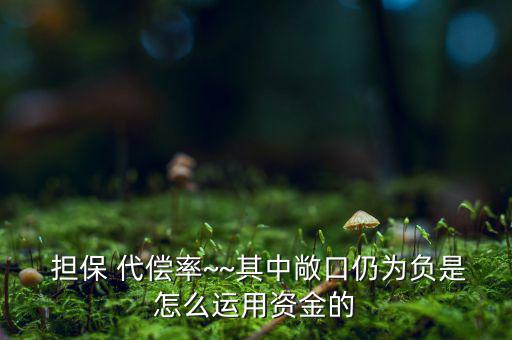 擔保公司代償率怎么算,擔保機構操作擔保業務成功率越低則越高