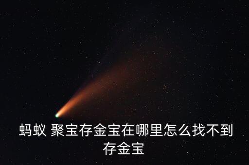 螞蟻聚寶怎么看不到養的基,螞蟻聚寶存寶在哪里?