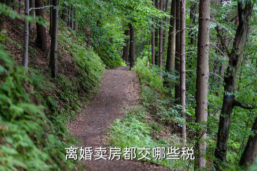 離婚后賣房稅怎么算,房地產開發稅怎么算?