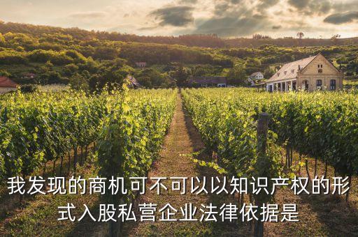 我發現的商機可不可以以知識產權的形式入股私營企業法律依據是