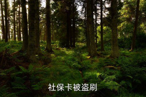 盜刷社保卡是什么罪，小偷持盜竊所得的社保卡到藥店刷卡消費藥店是否構成銷贓罪  搜
