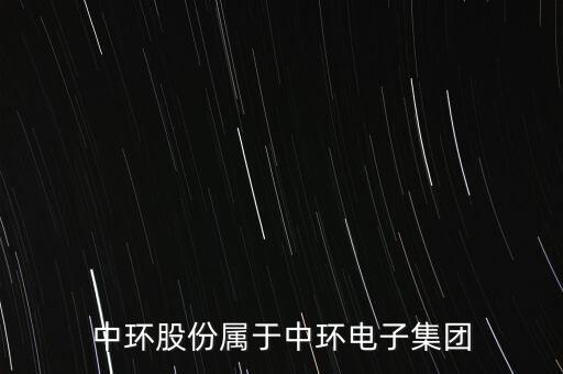 中環股份屬于中環電子集團