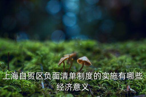 上海自貿區負面清單制度的實施有哪些經濟意義