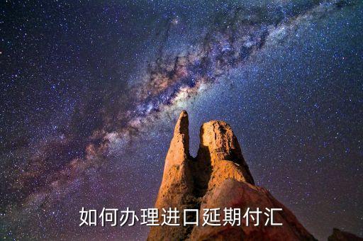什么是進口付匯，什么是跨境貿易人民幣結算啊