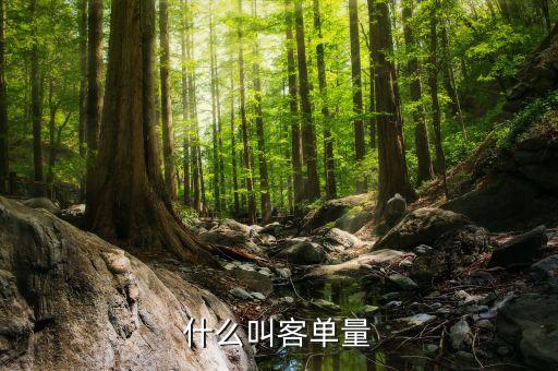 客戶規(guī)模包括什么，用戶規(guī)模什么意思與用戶數(shù)量有什么區(qū)別