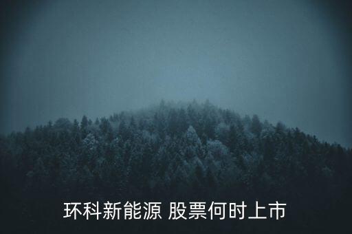 新能源股票什么時候上市呢，環科新能源 股票何時上市