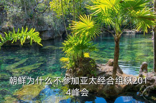 朝鮮為什么不參加亞太經合組織2014峰會