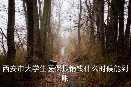 大學生醫保什么時候到賬，大學生武漢醫保報銷費什么時候到帳啊
