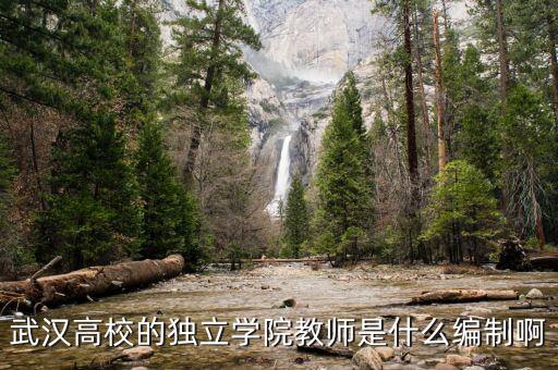 什么是獨立教師，什么是自立學校