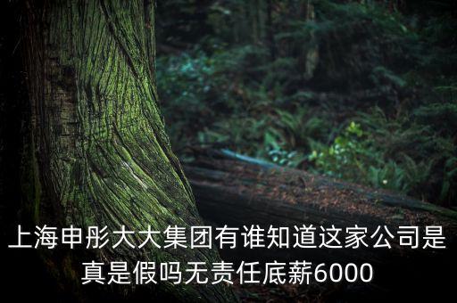 申彤大大集團賺的什么錢發工資，上海申彤大大集團有誰知道這家公司是真是假嗎無責任底薪6000