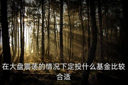 大盤調整買什么基金好，在大盤震蕩的情況下定投什么基金比較合適