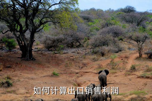 如何計(jì)算出口銷(xiāo)售利潤(rùn)