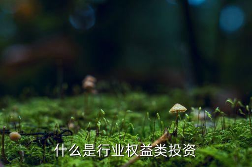 什么是權益類投資產品，權益類投資是什么