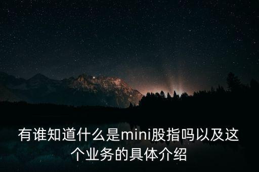 有誰知道什么是mini股指嗎以及這個業務的具體介紹