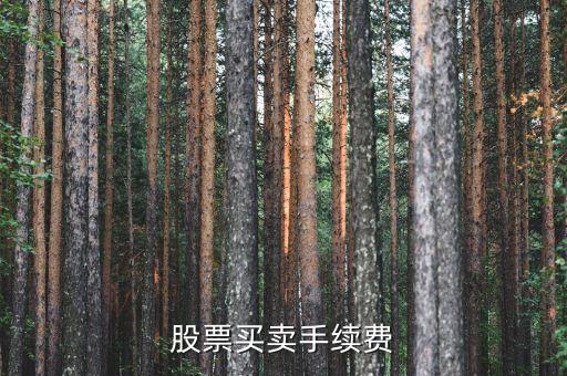 買(mǎi)股票交什么手續(xù)費(fèi)，股票買(mǎi)賣(mài)都要交哪些手續(xù)費(fèi)