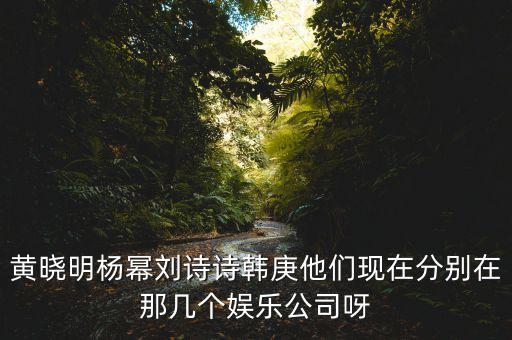 黃曉明楊冪劉詩詩韓庚他們現在分別在那幾個娛樂公司呀