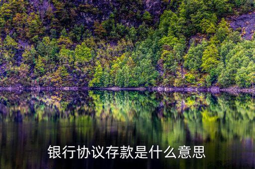 銀行協議存款是什么意思