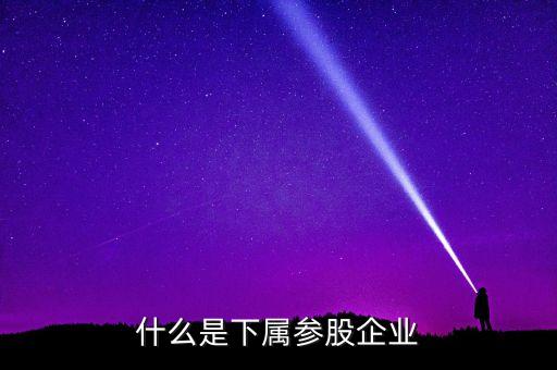 什么是下屬參股企業