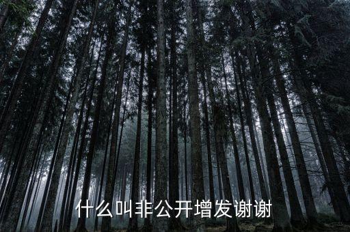 股票非公開增發是什么意思，st股非公開增發啥意思