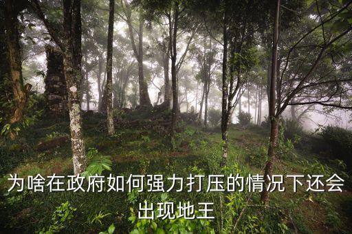 2016年為什么地王頻出，地王頻現傳遞什么信號