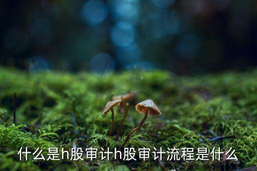 H股審計是什么意思，香港上市公司的審計與內地審計有什么區別