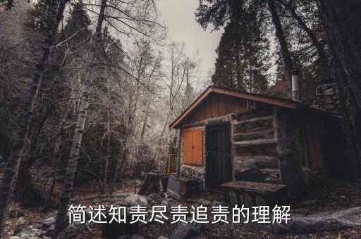 什么是追責，簡述知責盡責追責的理解
