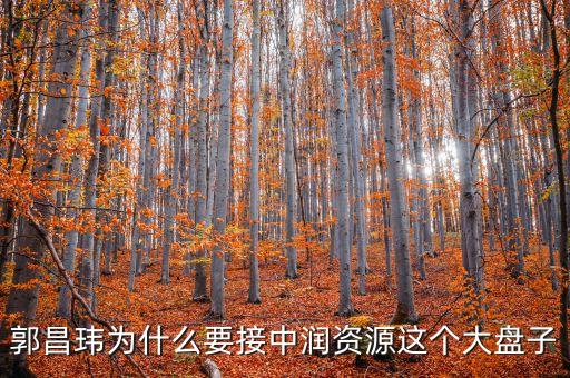 中潤資源為什么停牌，000506中潤資源停牌多久可以復牌