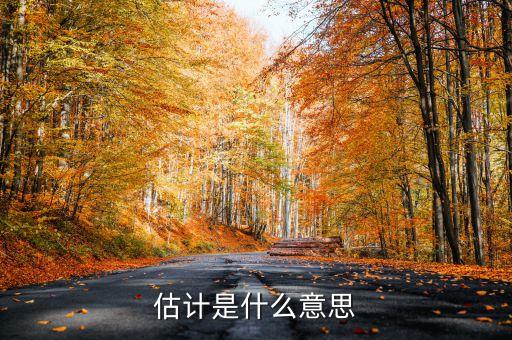 估計是什么意思