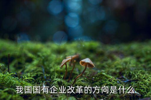 企業改革方向是什么，我國國有企業改革的方向是什么