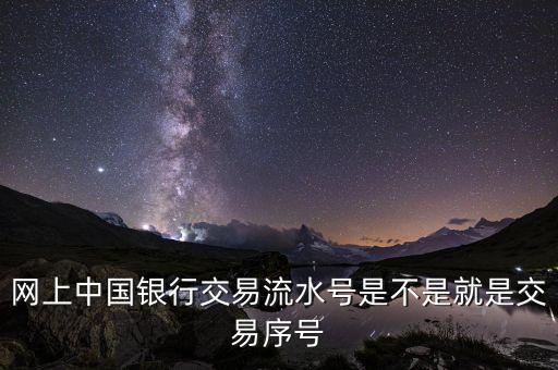 中國(guó)銀行企業(yè)網(wǎng)銀轉(zhuǎn)賬批次號(hào)什么意思，企業(yè)網(wǎng)銀客戶號(hào)是什么意思