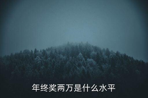 年終獎(jiǎng)10000什么水平，月薪1700年終獎(jiǎng)一萬算什么水平